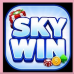 SkyWin Game