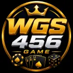 WGS456 Game