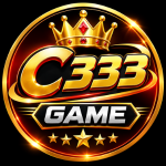 C333 Game